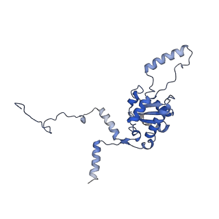 10098_6s47_AJ_v1-1
Saccharomyces cerevisiae 80S ribosome bound with ABCF protein New1