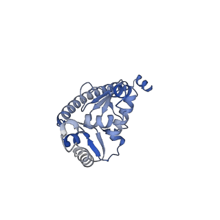 10098_6s47_AQ_v1-1
Saccharomyces cerevisiae 80S ribosome bound with ABCF protein New1