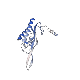 10098_6s47_AR_v1-1
Saccharomyces cerevisiae 80S ribosome bound with ABCF protein New1