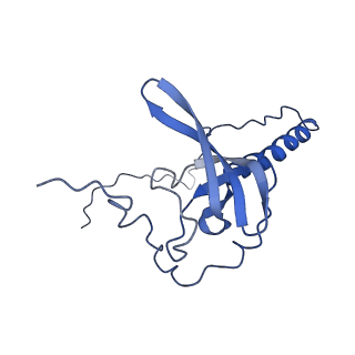 10098_6s47_AV_v1-1
Saccharomyces cerevisiae 80S ribosome bound with ABCF protein New1