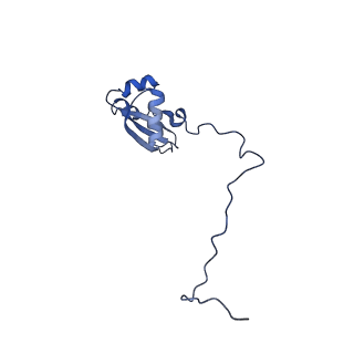 10098_6s47_AZ_v1-1
Saccharomyces cerevisiae 80S ribosome bound with ABCF protein New1