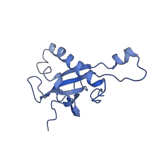 10098_6s47_Ab_v1-1
Saccharomyces cerevisiae 80S ribosome bound with ABCF protein New1