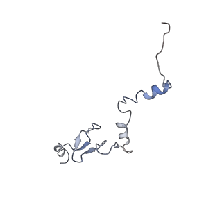 10098_6s47_Al_v1-1
Saccharomyces cerevisiae 80S ribosome bound with ABCF protein New1