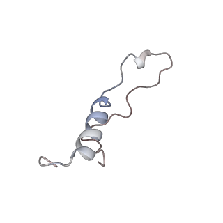 10098_6s47_An_v1-1
Saccharomyces cerevisiae 80S ribosome bound with ABCF protein New1
