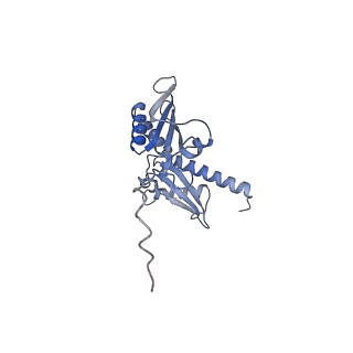 10098_6s47_BE_v1-1
Saccharomyces cerevisiae 80S ribosome bound with ABCF protein New1