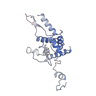 10098_6s47_BG_v1-1
Saccharomyces cerevisiae 80S ribosome bound with ABCF protein New1