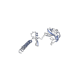10098_6s47_BH_v1-1
Saccharomyces cerevisiae 80S ribosome bound with ABCF protein New1
