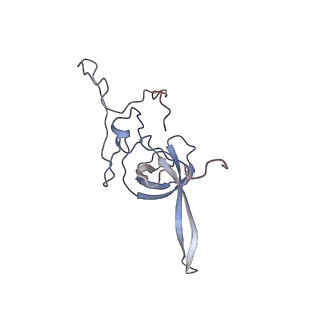 10098_6s47_BM_v1-1
Saccharomyces cerevisiae 80S ribosome bound with ABCF protein New1