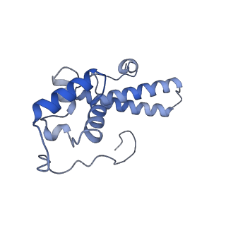 10098_6s47_BO_v1-1
Saccharomyces cerevisiae 80S ribosome bound with ABCF protein New1