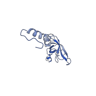 10098_6s47_BY_v1-1
Saccharomyces cerevisiae 80S ribosome bound with ABCF protein New1