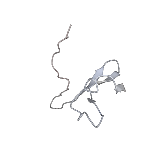 10098_6s47_Bg_v1-1
Saccharomyces cerevisiae 80S ribosome bound with ABCF protein New1