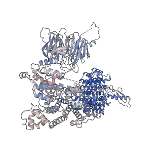 19711_8s4g_A_v1-0
Cryo-EM structure of the Anaphase-promoting complex/cyclosome (APC/C) bound to co-activator Cdh1 at 3.2 Angstrom resolution