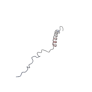 19711_8s4g_D_v1-0
Cryo-EM structure of the Anaphase-promoting complex/cyclosome (APC/C) bound to co-activator Cdh1 at 3.2 Angstrom resolution