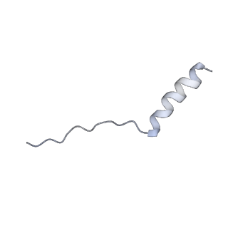 19711_8s4g_G_v1-0
Cryo-EM structure of the Anaphase-promoting complex/cyclosome (APC/C) bound to co-activator Cdh1 at 3.2 Angstrom resolution