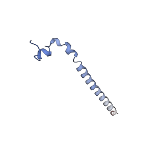 19711_8s4g_H_v1-0
Cryo-EM structure of the Anaphase-promoting complex/cyclosome (APC/C) bound to co-activator Cdh1 at 3.2 Angstrom resolution