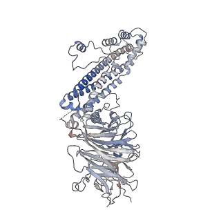 19711_8s4g_I_v1-0
Cryo-EM structure of the Anaphase-promoting complex/cyclosome (APC/C) bound to co-activator Cdh1 at 3.2 Angstrom resolution