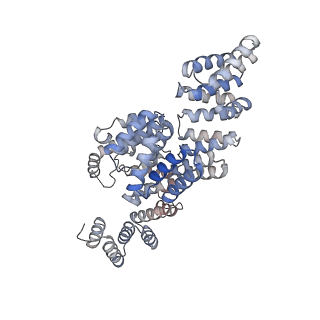 19711_8s4g_J_v1-0
Cryo-EM structure of the Anaphase-promoting complex/cyclosome (APC/C) bound to co-activator Cdh1 at 3.2 Angstrom resolution