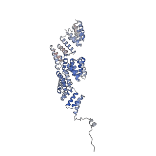 19711_8s4g_K_v1-0
Cryo-EM structure of the Anaphase-promoting complex/cyclosome (APC/C) bound to co-activator Cdh1 at 3.2 Angstrom resolution