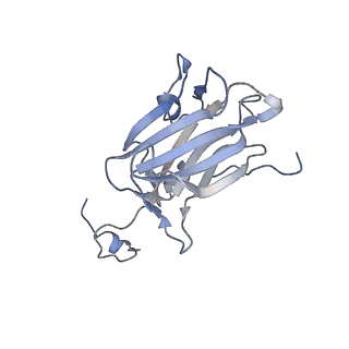 19711_8s4g_L_v1-0
Cryo-EM structure of the Anaphase-promoting complex/cyclosome (APC/C) bound to co-activator Cdh1 at 3.2 Angstrom resolution