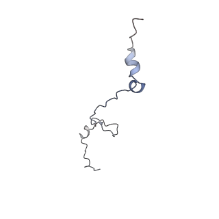19711_8s4g_M_v1-0
Cryo-EM structure of the Anaphase-promoting complex/cyclosome (APC/C) bound to co-activator Cdh1 at 3.2 Angstrom resolution