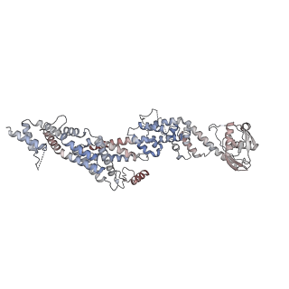 19711_8s4g_N_v1-0
Cryo-EM structure of the Anaphase-promoting complex/cyclosome (APC/C) bound to co-activator Cdh1 at 3.2 Angstrom resolution