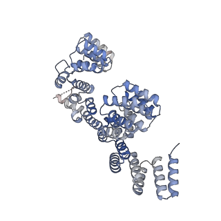 19711_8s4g_P_v1-0
Cryo-EM structure of the Anaphase-promoting complex/cyclosome (APC/C) bound to co-activator Cdh1 at 3.2 Angstrom resolution