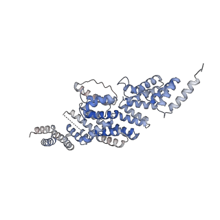 19711_8s4g_Q_v1-0
Cryo-EM structure of the Anaphase-promoting complex/cyclosome (APC/C) bound to co-activator Cdh1 at 3.2 Angstrom resolution