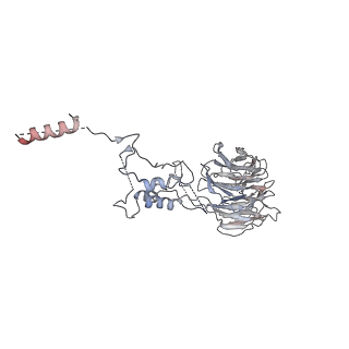 19711_8s4g_R_v1-0
Cryo-EM structure of the Anaphase-promoting complex/cyclosome (APC/C) bound to co-activator Cdh1 at 3.2 Angstrom resolution