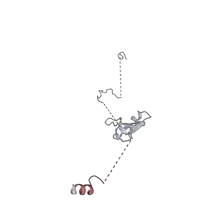 19711_8s4g_S_v1-0
Cryo-EM structure of the Anaphase-promoting complex/cyclosome (APC/C) bound to co-activator Cdh1 at 3.2 Angstrom resolution