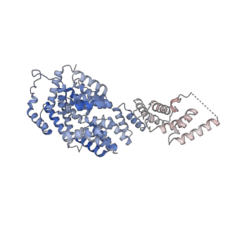 19711_8s4g_U_v1-0
Cryo-EM structure of the Anaphase-promoting complex/cyclosome (APC/C) bound to co-activator Cdh1 at 3.2 Angstrom resolution