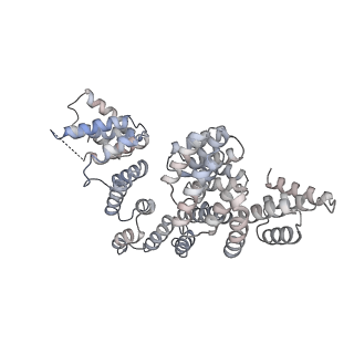 19711_8s4g_Z_v1-0
Cryo-EM structure of the Anaphase-promoting complex/cyclosome (APC/C) bound to co-activator Cdh1 at 3.2 Angstrom resolution