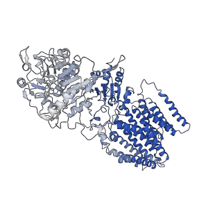 10099_6s59_A_v1-2
Structure of ovine transhydrogenase in the apo state