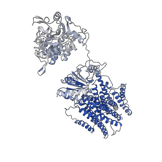 10099_6s59_B_v1-2
Structure of ovine transhydrogenase in the apo state