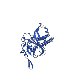 24839_7s5t_B_v1-1
Human KATP channel in open conformation, focused on Kir (C166S G334D double mutant) and SUR TMD0