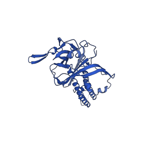 24839_7s5t_C_v1-1
Human KATP channel in open conformation, focused on Kir (C166S G334D double mutant) and SUR TMD0