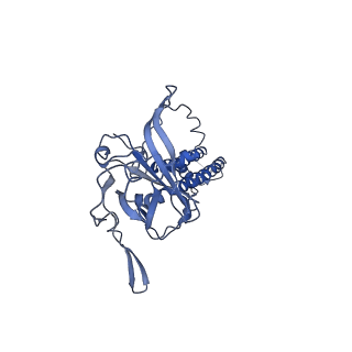 24843_7s5y_B_v1-1
Human KATP channel in open conformation, focused on Kir and one SUR, position 2