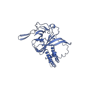 24843_7s5y_C_v1-1
Human KATP channel in open conformation, focused on Kir and one SUR, position 2