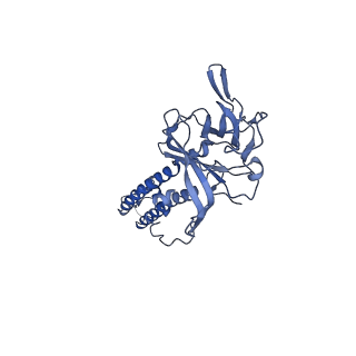 24843_7s5y_D_v1-1
Human KATP channel in open conformation, focused on Kir and one SUR, position 2