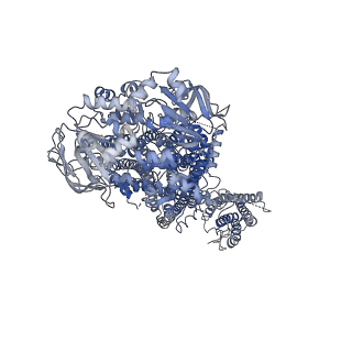 24843_7s5y_E_v1-1
Human KATP channel in open conformation, focused on Kir and one SUR, position 2