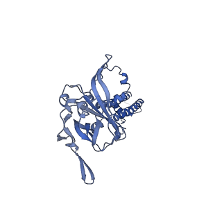 24844_7s5z_B_v1-1
Human KATP channel in open conformation, focused on Kir and one SUR, position 3