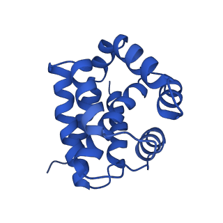 10102_6s6b_A_v1-2
Type III-B Cmr-beta Cryo-EM structure of the Apo state
