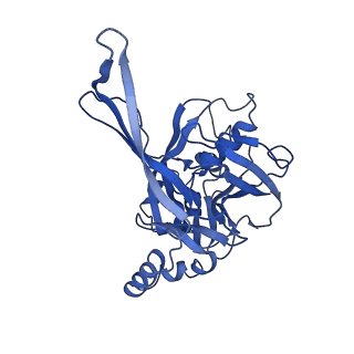 10102_6s6b_H_v1-2
Type III-B Cmr-beta Cryo-EM structure of the Apo state