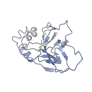10102_6s6b_S_v1-2
Type III-B Cmr-beta Cryo-EM structure of the Apo state