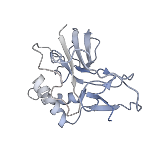 10102_6s6b_T_v1-2
Type III-B Cmr-beta Cryo-EM structure of the Apo state