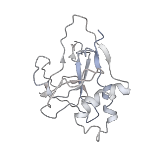 10102_6s6b_Y_v1-2
Type III-B Cmr-beta Cryo-EM structure of the Apo state