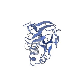 10102_6s6b_l_v1-2
Type III-B Cmr-beta Cryo-EM structure of the Apo state