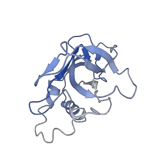 10102_6s6b_r_v1-2
Type III-B Cmr-beta Cryo-EM structure of the Apo state