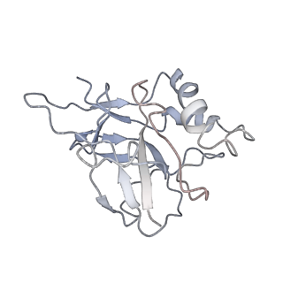 10102_6s6b_t_v1-2
Type III-B Cmr-beta Cryo-EM structure of the Apo state