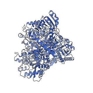 10104_6s6s_A_v1-3
Structure of Azospirillum brasilense Glutamate Synthase in a4b4 oligomeric state.