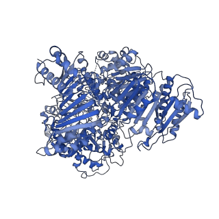 10104_6s6s_B_v1-3
Structure of Azospirillum brasilense Glutamate Synthase in a4b4 oligomeric state.